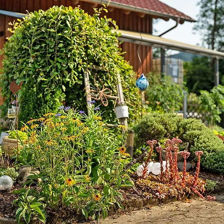 Lydia Apartamento Zell am Harmersbach